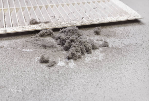  Lemmon Valley, NV Airduct Cleaning Pros