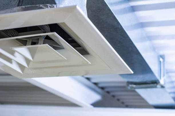 Best Air Duct Inspection  in Lemmon Valley, NV