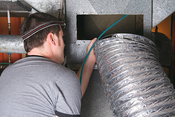 Best Air Duct Sanitizing Services  in Lemmon Valley, NV