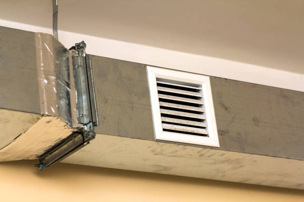 Best Air Vent Cleaning Services  in Lemmon Valley, NV